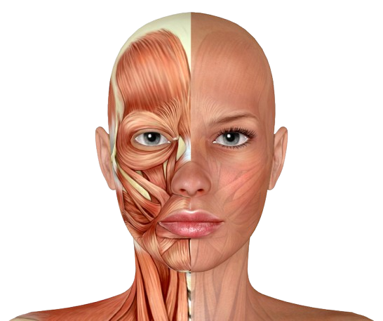 Head and Neck Onco Reconstruction